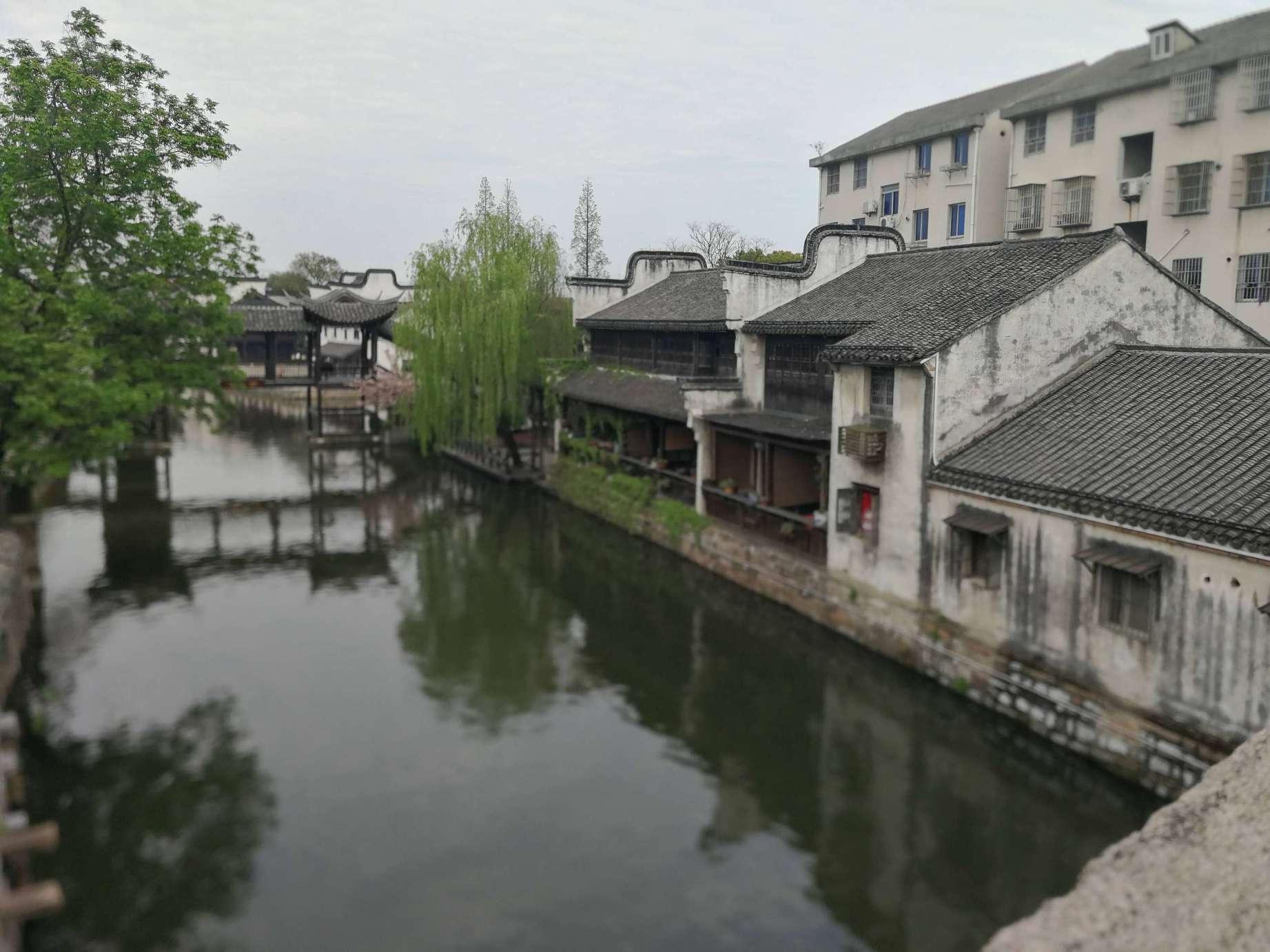 史小坑的爆笑生活12